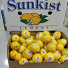 新奇士柠檬进口140只113只整箱120-160克每只新鲜