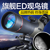 萨伽80大口径专业级ed观鸟镜变倍高倍高清变焦手机观鸟单筒望远镜