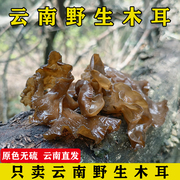 云南野生木耳干货装袋正宗黑木耳菌100g无硫特产非东北黑木耳