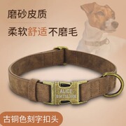 狗狗项圈小型犬泰迪柯基狗颈圈中型犬牵引绳大型犬狗牌防丢狗脖圈