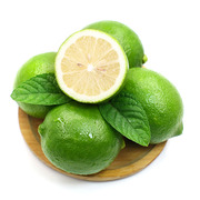四川青柠檬粒装 新鲜青柠薄皮多汁安岳青柠檬green lemon