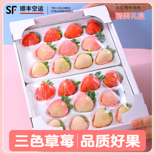 淡雪白色草莓99草莓新鲜红颜，牛奶奶油三色公主，大草莓礼盒水果