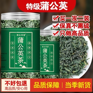 蒲公英茶500g长白山婆婆丁浦公英，叶中药材干草泡水喝的茶