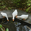 仿真鸭子喝水树脂雕塑鹅鸭子摆件柯尔鸭水缸池塘水池鱼塘造景装饰