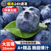68盒云南蓝莓鲜果高山，特大孕妇新鲜水果，当季整箱现摘5斤超甜