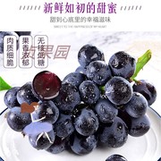 云南夏黑葡萄2斤新鲜水果，提子孕妇水果无籽葡萄当季新鲜。
