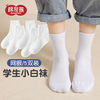 儿童袜子春秋纯棉白色透气网眼袜，男童中筒童袜，女童秋季学生小白袜