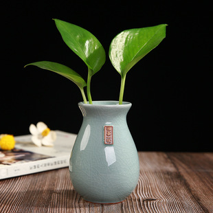 创意绿萝水培小花瓶陶瓷容器水养植物花盆鲜花插花器桌面装饰摆件