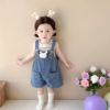 ins夏季韩版婴幼儿套装，彩色针织背心+可爱兔子，背带裤女宝宝两件套