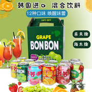 12瓶网红lotte韩国进口饮料整箱，乐天混合装芒果汁果肉海太葡萄汁