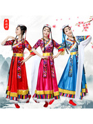 藏族舞蹈演出服装女成人水袖演出服长裙藏族舞民族服装表演服饰