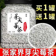 龙须莓茶张家界 湖南湘西土特产 张家界莓茶嫩芽藤茶霉茶