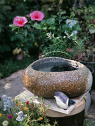 特大号天然鹅卵石花盆鱼缸铜钱草，养鱼碗莲盆石头创意花器流水桌面