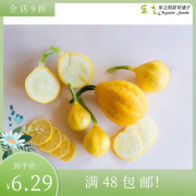 进口西葫芦种子 夏日柠檬 小瓜庭院阳台花园盆地栽食用有机蔬菜