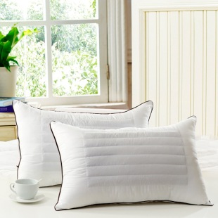 天然荞麦两用枕芯单个超柔舒适护颈椎防螨保健枕护颈枕芯
