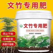 文竹专用肥料有机肥花肥室内盆栽花卉绿植生根壮叶绿颗粒缓释肥料
