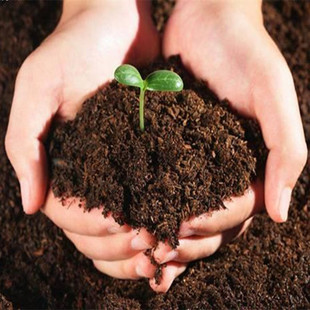 花土营养土大包养花种菜土花肥料种植土多肉，育苗土基质土泥土
