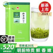 2024春茶上市江西遂川狗牯脑绿茶新茶 明前特贡特级高山茶叶250g