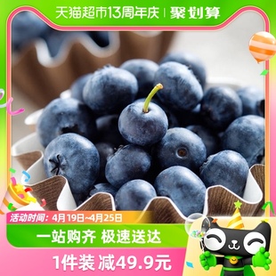 driscoll's怡颗莓，云南蓝莓125g*4盒中果新鲜水果