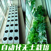 阳台种菜水培设备种菜神器，家庭室内水耕蔬菜，无土栽培懒人自动花盆