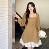 原版捻丝+里布+拉链，法式复古大码女装，连衣裙2023秋拼接短裙
