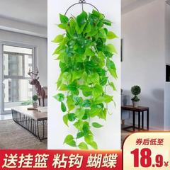t仿真植物假花藤条藤蔓装饰绿植墙墙壁挂花吊篮绿萝墙面爬山虎壁