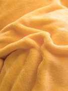珊瑚绒毛毯床单毛绒加厚法兰绒单件床单式双人，单人毯子1.2床1.8床