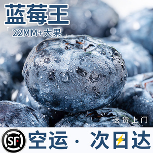 云南蓝莓鲜果当季高山，新鲜水果孕妇，甜现摘空运特大蓝梅丹