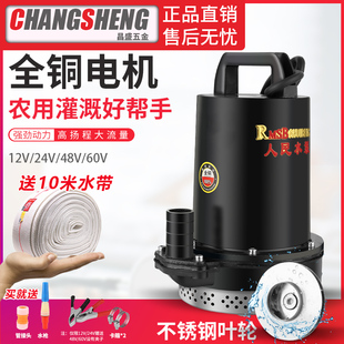 上海人民12v24v48v60v72v直流潜水泵抽水泵，家用电瓶车电动车刷车