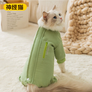 宠物猫咪简约口袋全包羽绒棉衣衣服保暖衣服布偶猫蓝猫银渐层幼猫