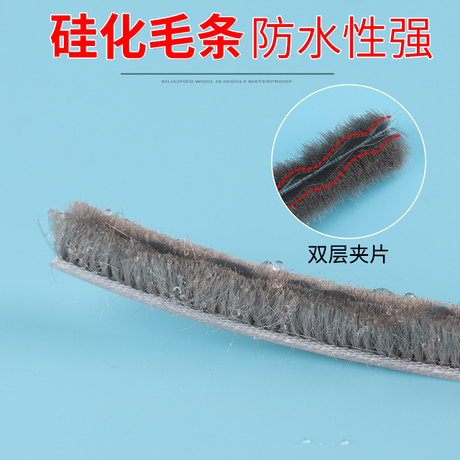窗毛条