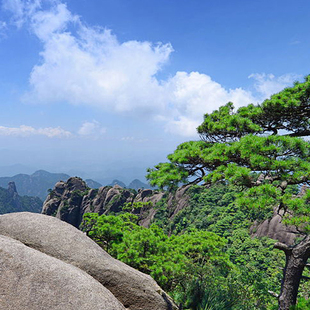 江西旅游踏春赏花婺源庐山，景德镇三清山4天3晚无购物跟团游