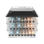 孵小鸡的孵蛋器孵化箱鸡蛋大化孵器鸡机小型家用型迷你全自动智能
