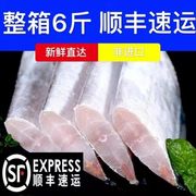 国产带鱼东海带鱼段新鲜大段整箱冷冻中段带鱼段海鲜水产