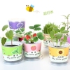 儿童罐头创意小盆栽礼物栽培桌面迷你绿植草莓向日葵种植种子盲盒
