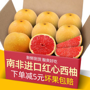 南非进口红心西柚2-10个新鲜当季水果蜜柚葡萄柚孕妇红肉整箱
