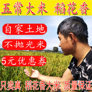2023新米农家自产五常，稻花香2号大米5kg不抛光东北黑龙江无常正宗