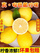 安岳柠檬新鲜皮薄多汁，黄柠檬(黄柠檬)奶茶店，专用一级果尤力克柠檬果