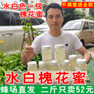 1000克 纯正槐花蜜蜂场自产自销 洋槐蜜天然野生枣花蜂蜜椴树蜂蜜