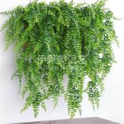 蕨类波斯壁挂 仿真植物藤条仿真花装饰吊顶客厅装饰树叶