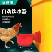 鸡鸭鹅自动水碗饮水器养鸡养殖设备喂鸽子，水碗鸟饮水器鹌鹑鸡水槽