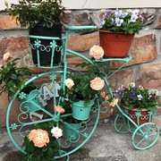 铁艺自行车小花架绿萝多肉创意，花盆阳台欧式装饰户外绿植花园花架