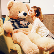 高档超大号熊公仔(熊公仔，)泰迪熊玩偶熊猫布娃娃女生，抱抱熊毛绒玩具睡觉抱