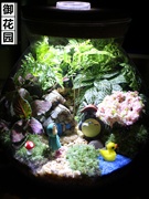 苔藓微景观成品生态瓶创意夜灯龙猫摆件diy绿植玻璃盆栽生日礼物