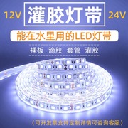 12V24v伏灌胶防水led灯带室外水里低压灯条鱼塘泳池裸板滴胶套管