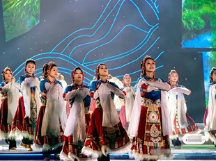 藏族舞蹈演出服装女成人2023艺考学生考级练习藏族舞蹈大摆裙