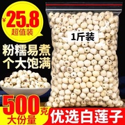 特级莲子心500g 新货大粒白莲子野生湖南特产农家无芯湘莲羹