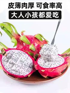 白心火龙果新鲜当季越南进口热带水果，白肉火龙果整箱5斤中果