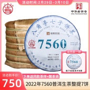 7饼整提八角亭生普洱茶饼，2022年7560云南勐海七子饼茶普洱生茶叶