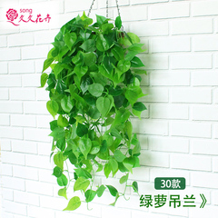 仿真植物藤条墙面装饰室内壁挂花